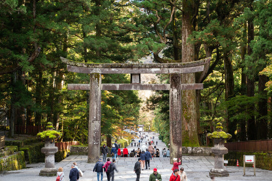 Many people at torri gate in Japan