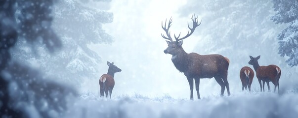 Majestic deer standing in a snowy forest during winter conditions