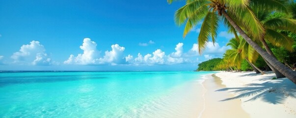 Fototapeta na wymiar Crystal clear turquoise water, pristine beach, coconut palms , nature, coral