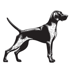German Shorthaired Pointer Side pose silhouette vector. German Shorthaired Pointer Dog PNG – Hunting, Pointing & Standing Side Poses | Transparent Background