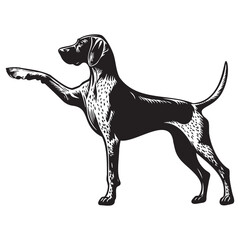 German Shorthaired Pointer Side pose silhouette vector. German Shorthaired Pointer Dog PNG – Hunting, Pointing & Standing Side Poses | Transparent Background