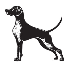 German Shorthaired Pointer Side pose silhouette vector. German Shorthaired Pointer Dog PNG – Hunting, Pointing & Standing Side Poses | Transparent Background