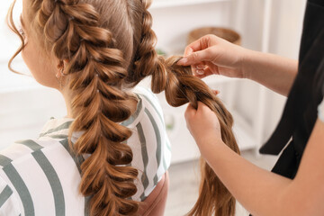 Professional hairdresser braiding client's hair in salon, closeup