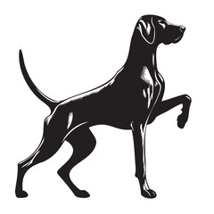 German Shorthaired Pointer Side pose silhouette vector. German Shorthaired Pointer Dog PNG – Hunting, Pointing & Standing Side Poses | Transparent Background
