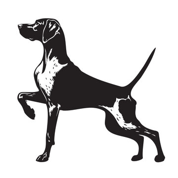 German Shorthaired Pointer Side pose silhouette vector. German Shorthaired Pointer Dog PNG &ndash; Hunting, Pointing & Standing Side Poses | Transparent Background