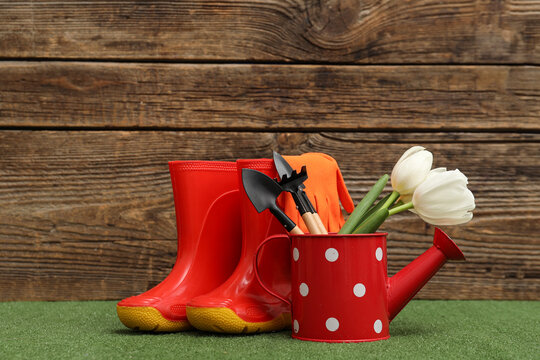 Composition with watering can, rubber boots and garden tools with tulip flowers on green grass against wooden background