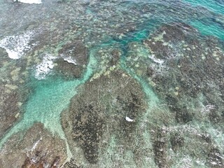 Coral Reefs near Playa Cocles and Limon, Costa Rica