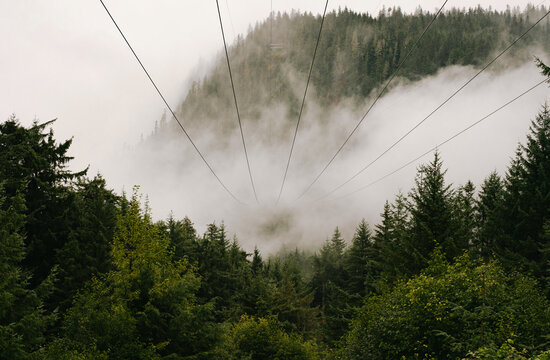 Icy Straight Point Zip Line 