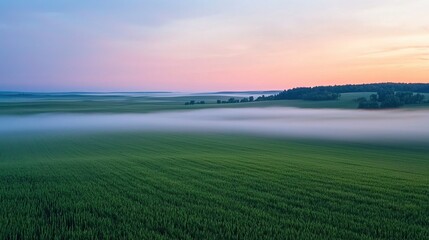 North Dakota Agriculture Concepts. Serene landscape with misty fields at sunrise.