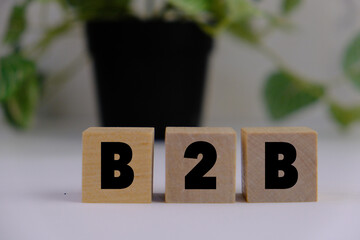 Acronym B2B- Business to Business. hand holding wood cube block with b2b text. Business Concept...