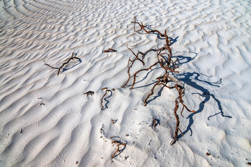 Grey sand dunes near cervantes Nambung National park, Western Australia.