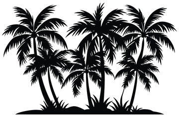 Palm tree silhouette detail illustration black and white Vector