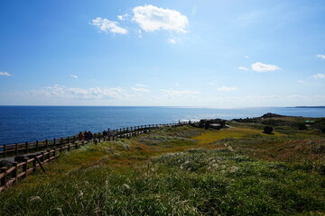 wonderful seascape with seaside walkway