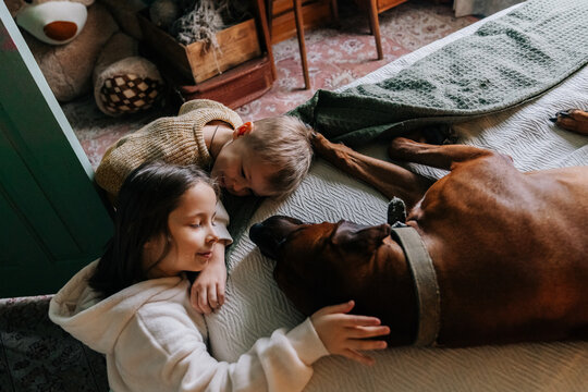 Children play with a dog on a cozy bed in a warm room