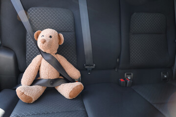 Fastened toy bear on seat in car