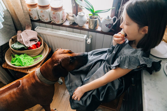 Child enjoys snack while dog curiously investigates at home