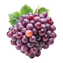Fototapeta premium Cluster of Red and Purple Grapes with a Fresh Look, PNG file for mock-up.