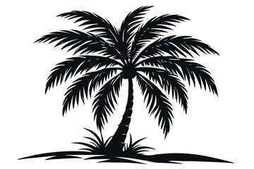 Palm tree silhouettes