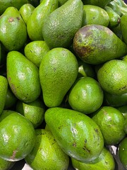 fresh avocados at the market