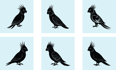 Obraz premium Cockatiel Silhouette vector