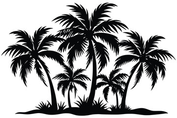 palm trees with leaves and black silhouettes isolated on a white background Vector