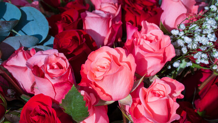 Background of pink rose bouquets for weddings or for lovers. Red or pink roses are in high demand on Valentine's Day or during weddings due to their romantic symbolism, meanings of love, purity