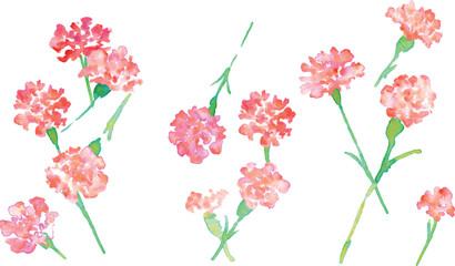 水彩画。水彩タッチの母の日カーネーションイラスト。母の日のカーネーション背景ベクターイラスト。Watercolor painting. Mother's Day carnation illustration with watercolor touch. Mother's day carnation background vector illustration.