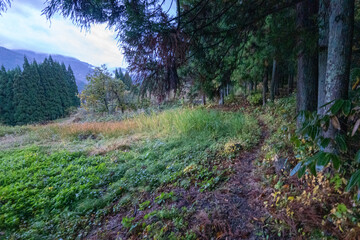 Historic old road “Salt Road” which is also a long distance hiking course and its surroundings