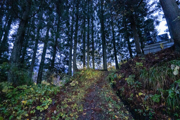 Historic old road “Salt Road” which is also a long distance hiking course and its surroundings