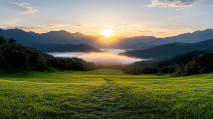 Fototapeta premium serene sunrise over misty valley with rolling hills and rice paddies