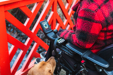 Woman in Wheelchair with Dog on a Park Bridge