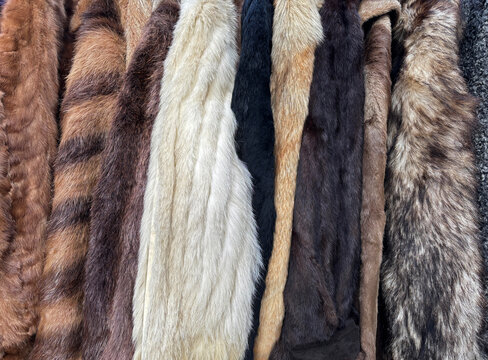 fur coats
