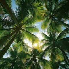 Fototapeta premium A picturesque scene featuring a cluster of tall palm trees, their fronds swaying gently in the breeze, with warm sunlight filtering through the leaves, casting playful shadows on the ground.