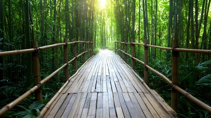 Walking on Bamboo Bridge Through Lush Green Forest with Sunlight