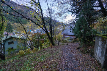 Historic old road “Salt Road” which is also a long distance hiking course and its surroundings