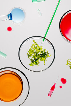 Colorful laboratory setup with various liquids and plant material