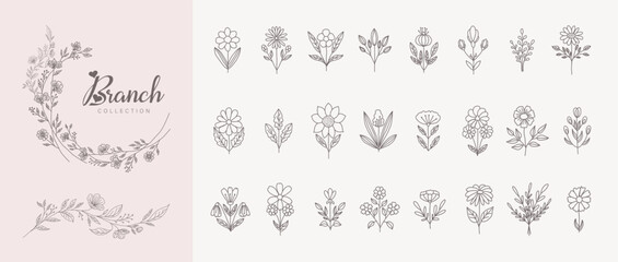 Botanic set of detailed various flowers. Luxury vintage floral collection for wedding invitation, wallpaper art or save the date card. Botanical vector