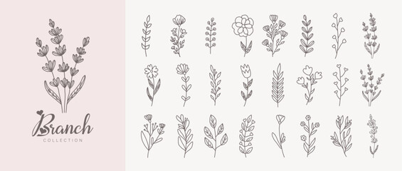 Botanic set of detailed various flowers. Luxury vintage floral collection for wedding invitation, wallpaper art or save the date card. Botanical vector