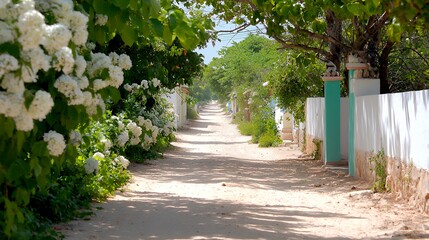 Walking on Quiet Street with White Flowers and Shady Trees