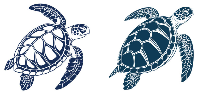 Timeless Turtles in Motion.