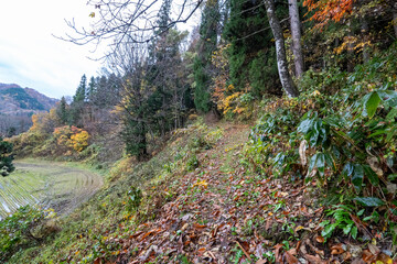 Historic old road “Salt Road” which is also a long distance hiking course and its surroundings