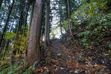 Historic old road “Salt Road” which is also a long distance hiking course and its surroundings