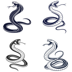 Obraz premium Serpents Shadow Dance.