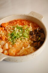 chicken noodle soup