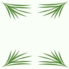 bamboo leaves frame. White background. Suitable as element logo design, card, wedding invitation