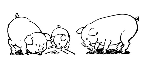 Happy as Pigs, Retro Vector Illustration