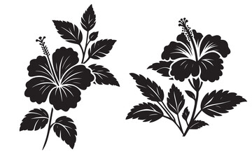 Hibiscus silhouette vector with white background