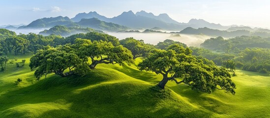 Lush Green Landscape with Rolling Hills and Majestic Mountain Range Under Clear Sky