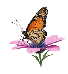 Fototapeta premium Whispers of Spring -Flutter By Butterfly