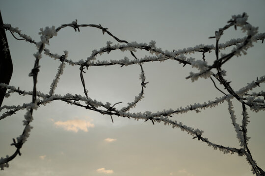 Frozen Barbed Wire